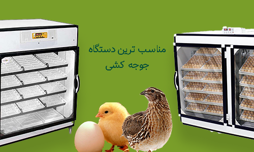 انتخاب مناسب دستگاه جوجه کشی