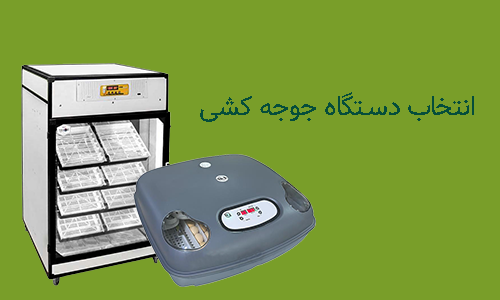 انتخاب دستگاه جوجه کشی در مزرعه سنتر